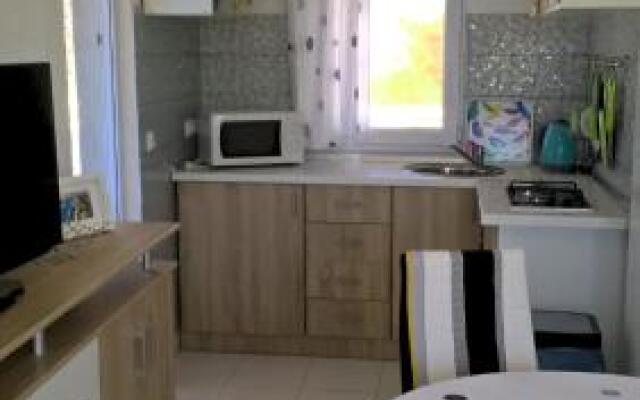Apartment Kamelija