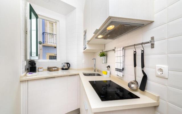 Santa Catarina Premium Studio