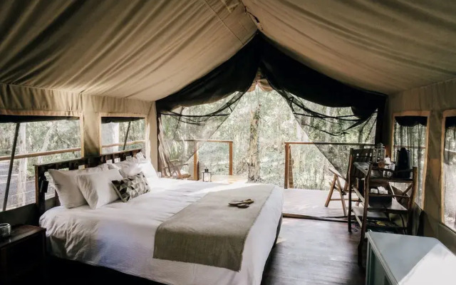 Paperbark Camp