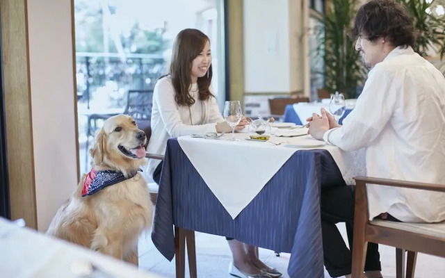 Le Chien Kyuu Karuizawa