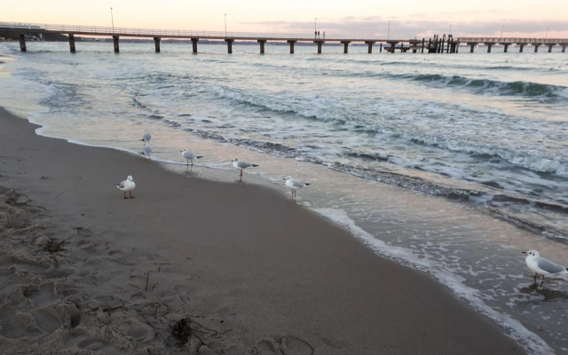 Ferienwohnung im Zentrum