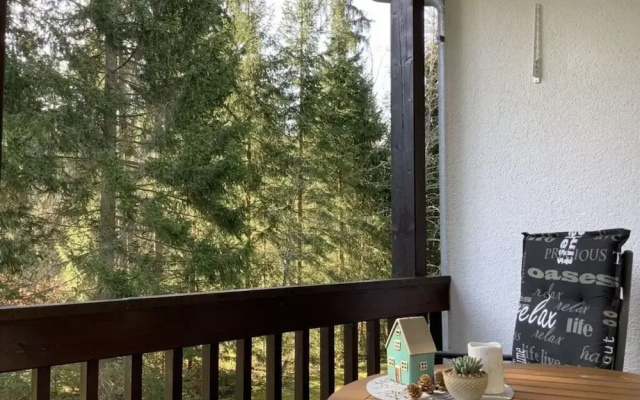 Huis Hochfirst Appartement 10