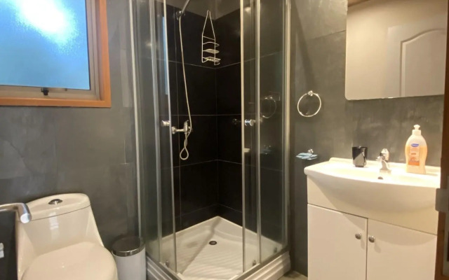 Loft Pucon Apart Hotel