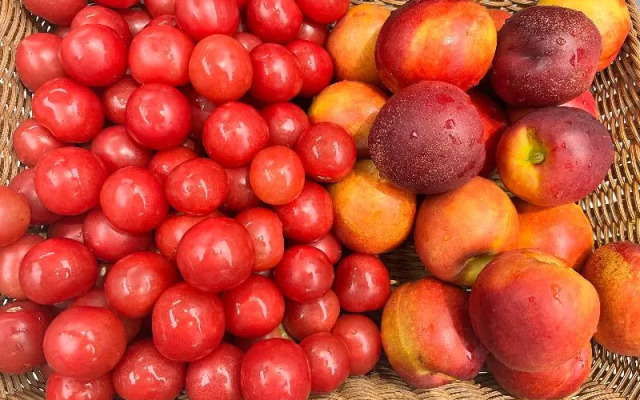 Ji Hotel (Zhengzhou Huayuan Road, Nongye Road)