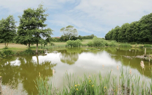 Pond View