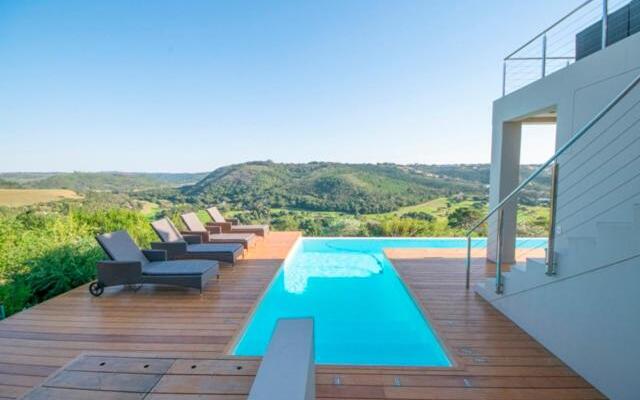 Brackenridge 11 Protea Dale