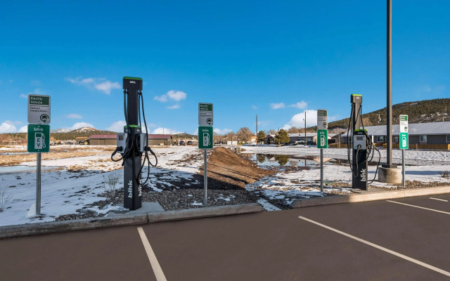 Hampton Inn Williams