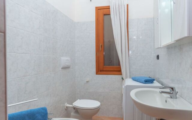 Corbezzolo 36904