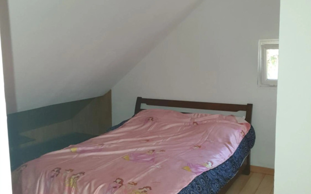 Le paradis du Cap des Camélias