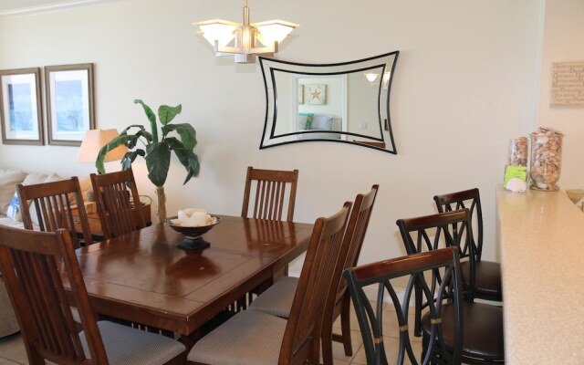 Emerald Dolphin by Surfside VR