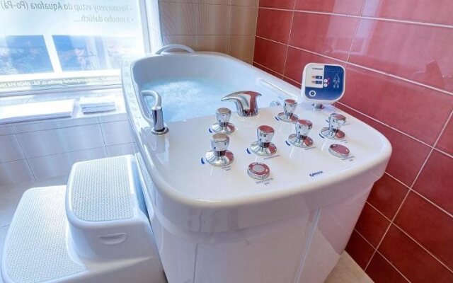 Lazensky Hotel Goethe