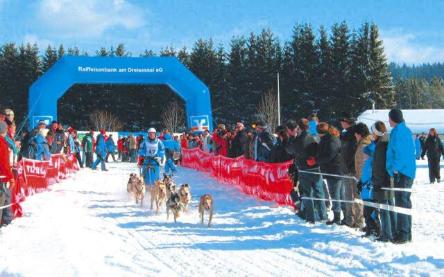 Apartment in Haidmuhle With Balcony or Terrace
