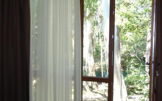 Mariya Guest House