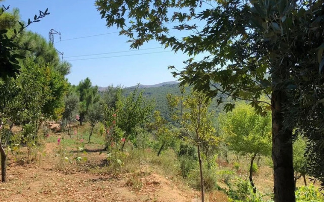 Yesil Vadi Apart Pansiyon