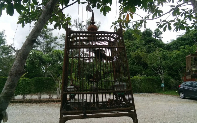 Rommai Plai Tawan Trang