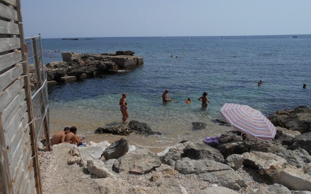 The House of Blue Butterflies