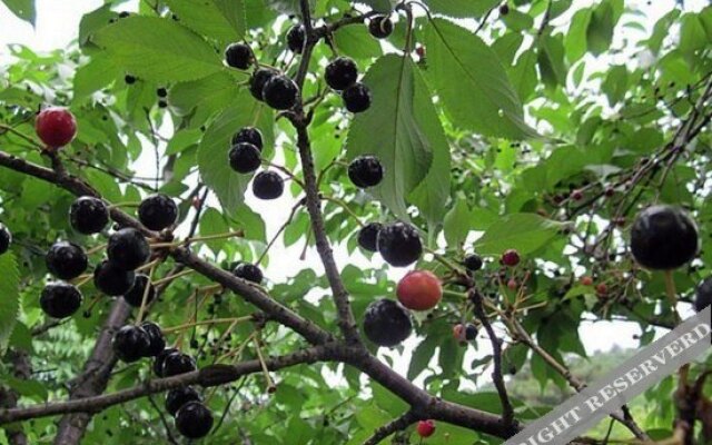 Taohuayuan Farmhouse