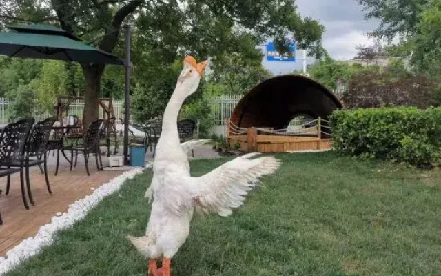 Yixiyixia Homestay