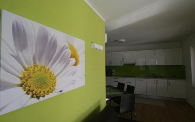 Apartments & Wellness Skok