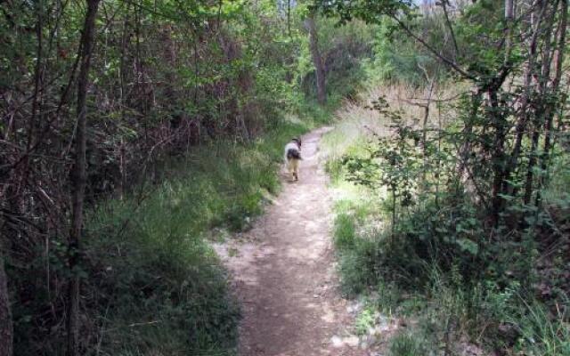 MasQi, The Energy House