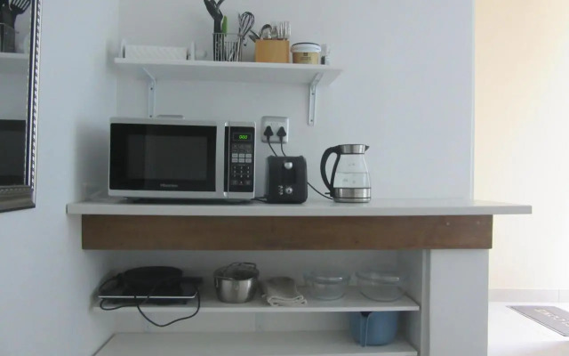 Pecan Tree Studio 2