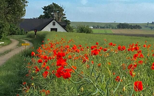 Wingårdhs B&B Österlen