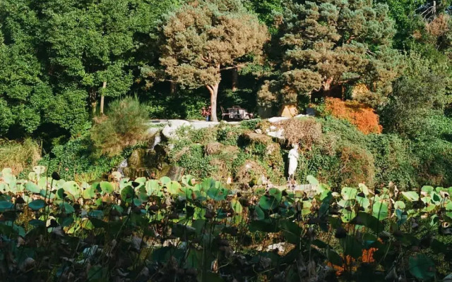 Tranquil 1BR Villa in Revislate