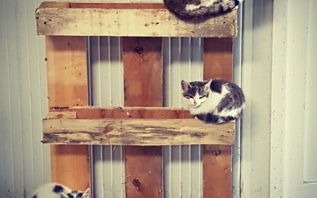 Le Gîte de La Ferme Du Tertre