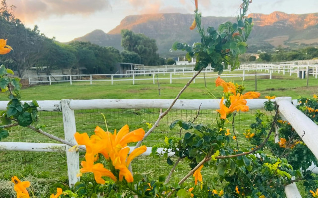 Noordhoek The Lookout