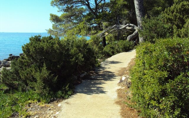 Guest House Plava Laguna Hvar