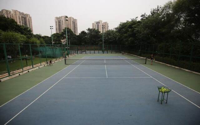 DLF Club 4