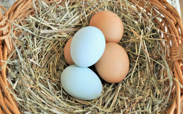 Boutique Hotel Pension Erlacher