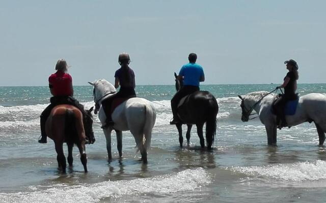 Mirant el Mar