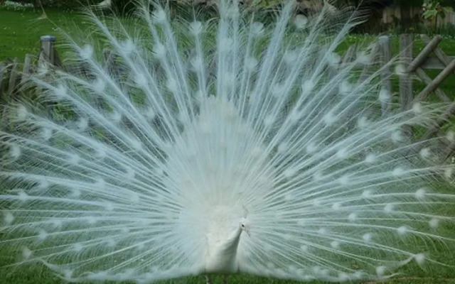 Au Bas Chalonge Gite Le Four à Pain