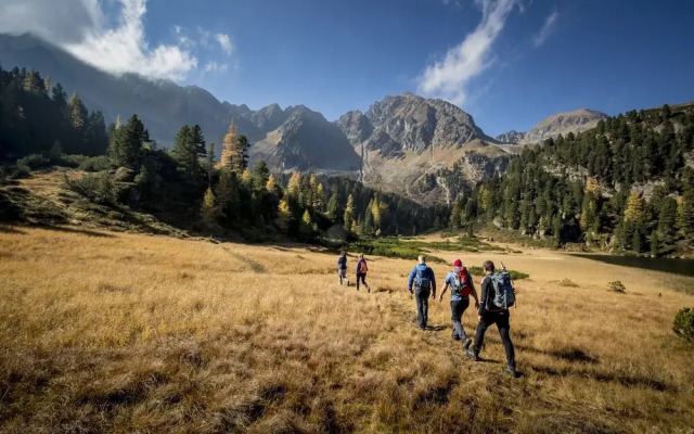 Cosy Chalet With Sauna