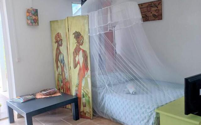 Ti coin de paradis Ylang Ylang