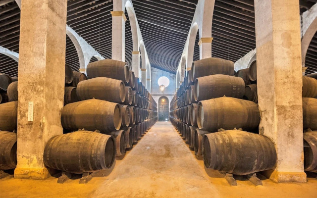 Casa Sol Midtown Surthy  Apartments