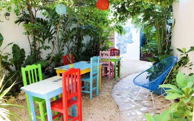 Vainilla B&B Mexico