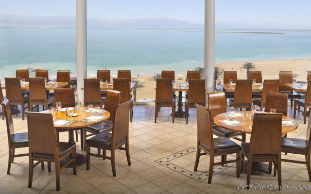 Vert Dead Sea