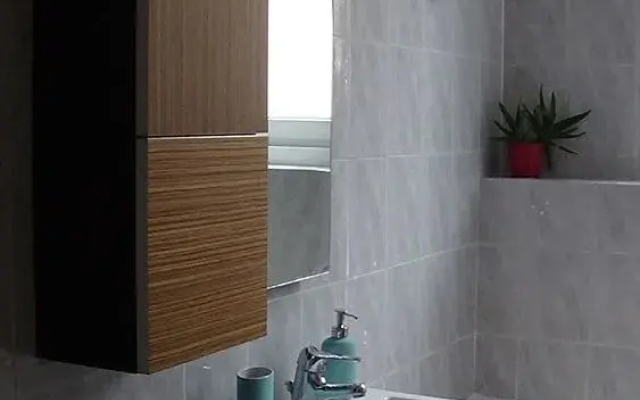 Il fenicottero rosa - Monteverde