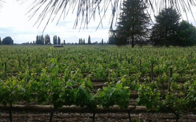 Apartamento entre viñedos