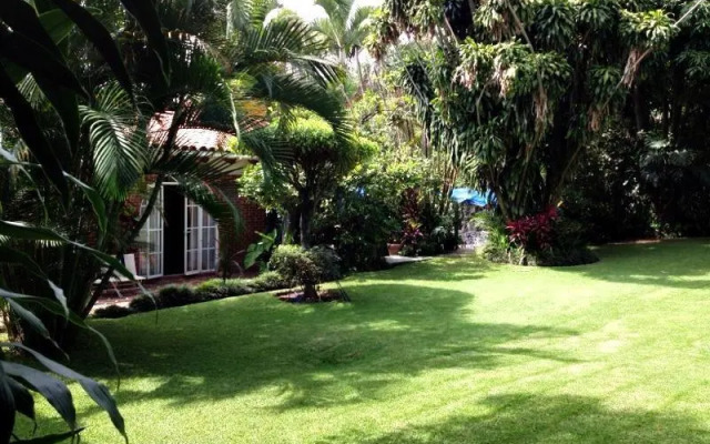 Grupo Kings Suites - Motolinia 46