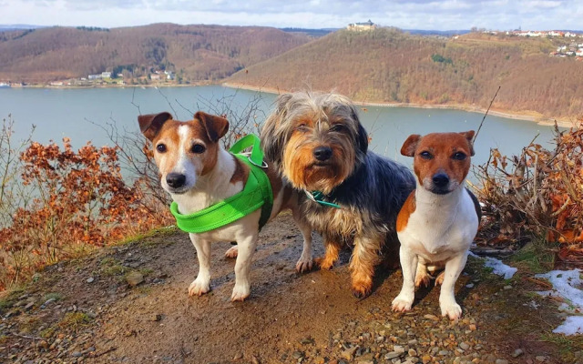 Ferienwohnung mit Bergblick