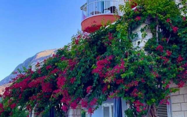 Villa Bouganvillea - sea View & Garden - A1 Deluxe