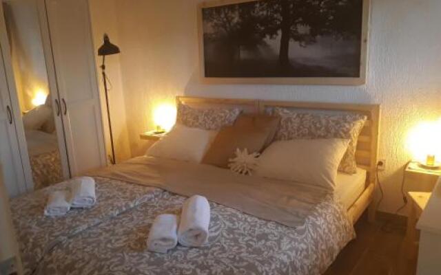 Apartments Garden Monsena