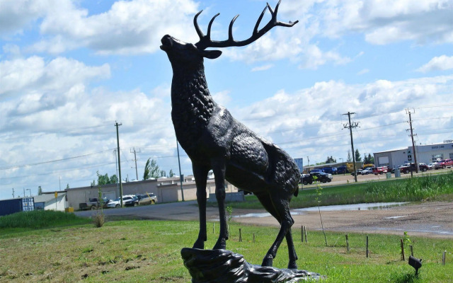 Vegreville Garden Inn