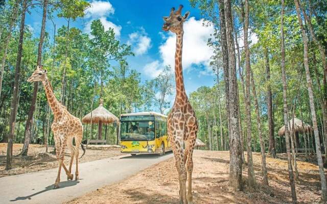 Teddy 96 Homestay & Cafe - Grand World Phu Quoc