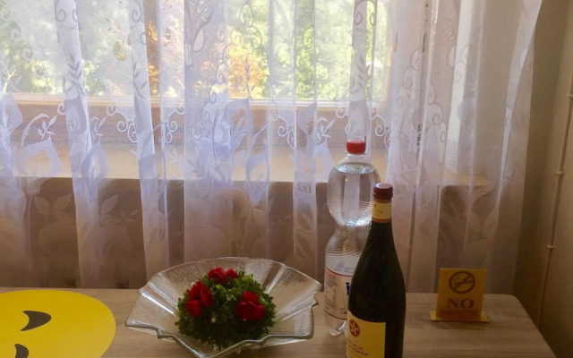 Mainzimmer Business Appartment - Monteurwohnung mit Burgblick