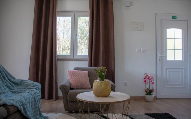 Villa for 6 persons with private pool, parking and garden in Rovinj