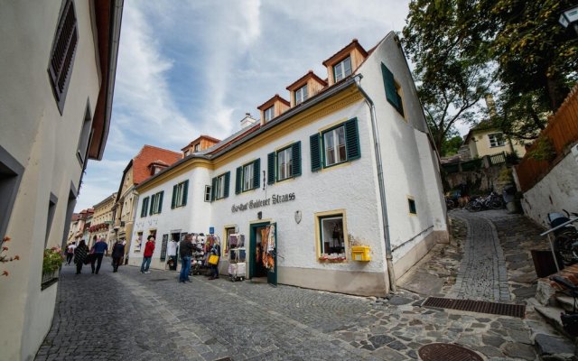 Penthouse With Private Loggia in the Historic Centre of D Rnstein